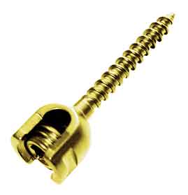 Single Lock Mono Axial Screw