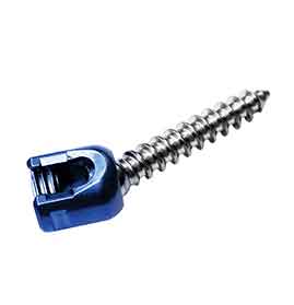 Single Lock Poly Axial Screw